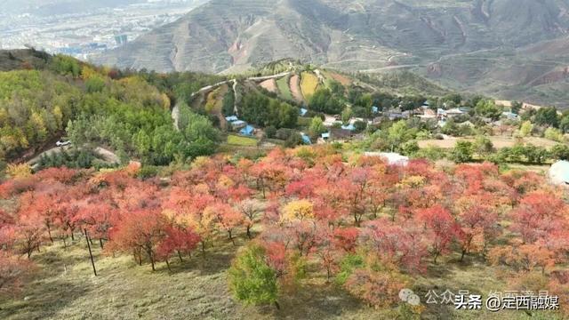 漳县秋日旅行日记来咯！