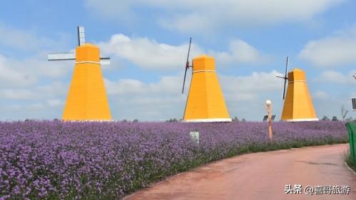 何必飞三亚？吉林藏了个北方巴厘岛，沙滩全空运的，冬天也能冲浪