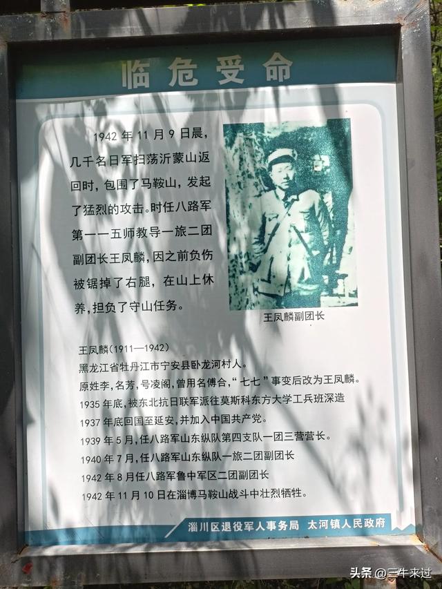 无为在歧路，巍巍马鞍山