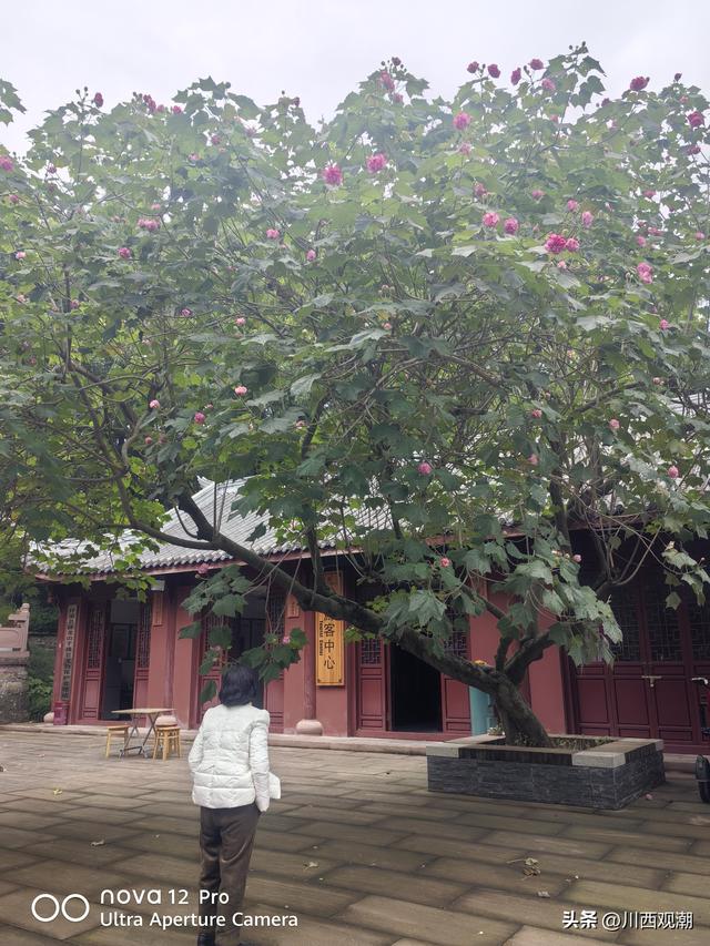 梓潼卧龙山千佛崖