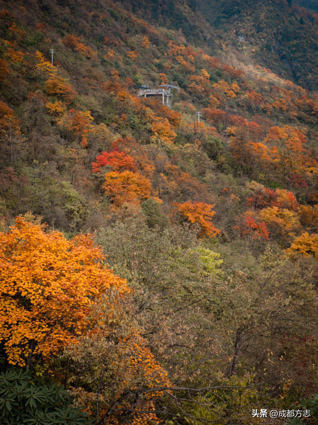 冷冷冷，想去成都周边“泡”起！