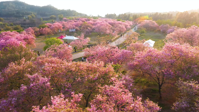 美如仙境！韶关这个地方迎来今年首场冰挂雾凇景观，秋冬来旅行，赏雪泡泉看红枫为你安排好了