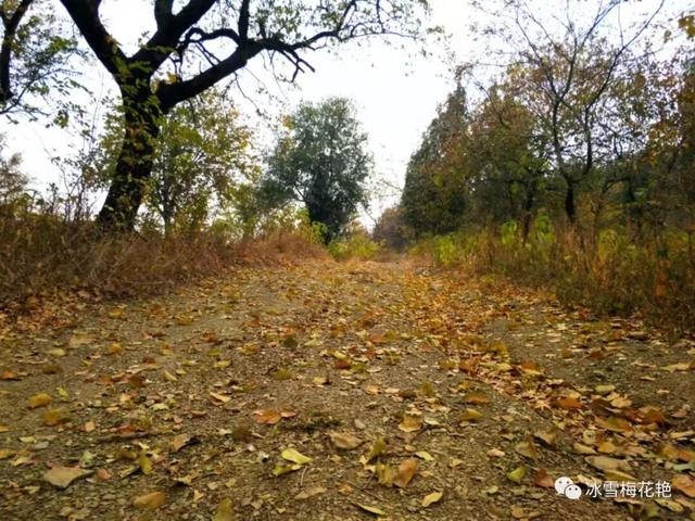 秋游大宗山朗公寺