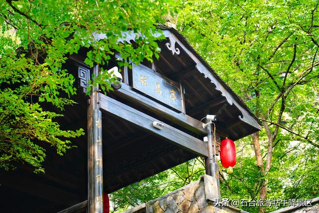 牯牛降的夏天