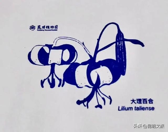 初冬出片C位！昆明这个地方必须榜上有名，周末抓紧冲~