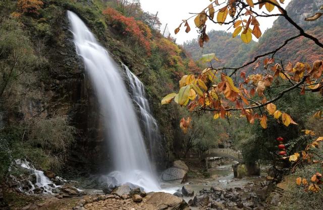 这才是秋天该有的样子~