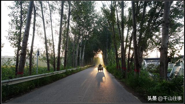 枣庄大官庄藏着千年大瓜：皇姑坟竟是采石场？薛国历史太颠覆！