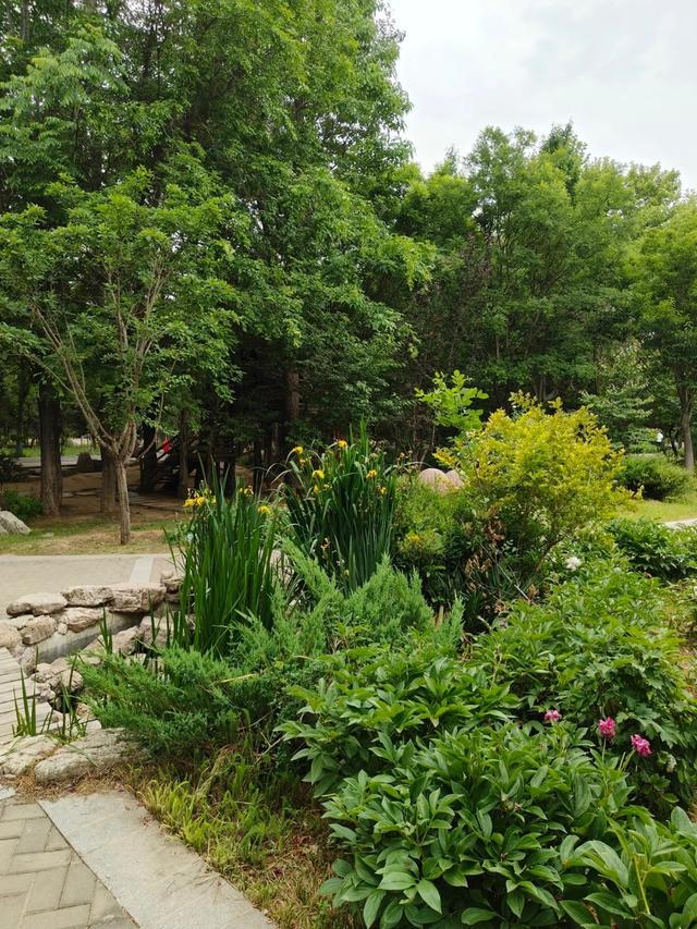 烟台下一个主城或将诞生？不是蓬莱、招远，堪称最具黑马相的城区