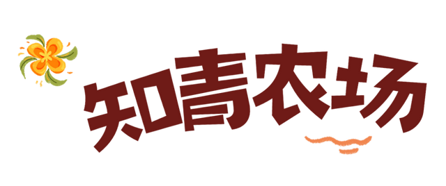 世界旅游日 | 世界那么大 大丰等你来🤗