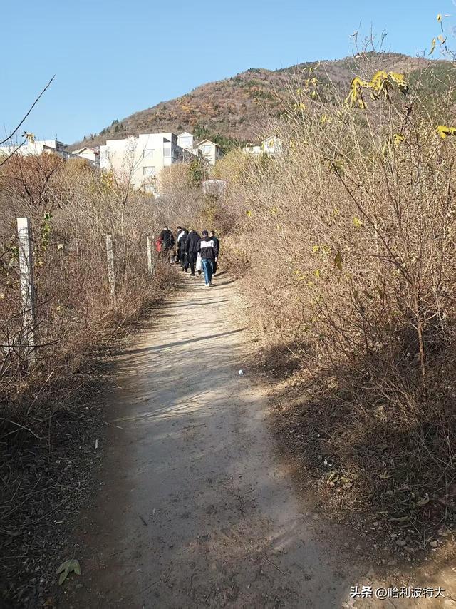 怒征西山公园，立在539.8米的顶峰