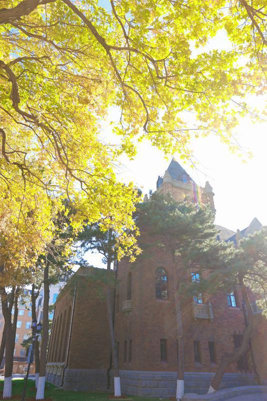 百年鎏金一树秋 | 在松苑咖啡馆，与长春最诗意的五角枫隔窗对望