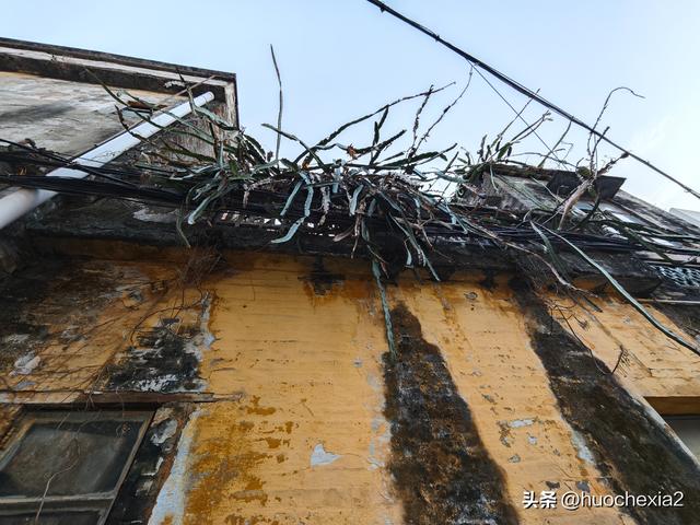 佛山真好逛——锦岩南街与锦岩公园
