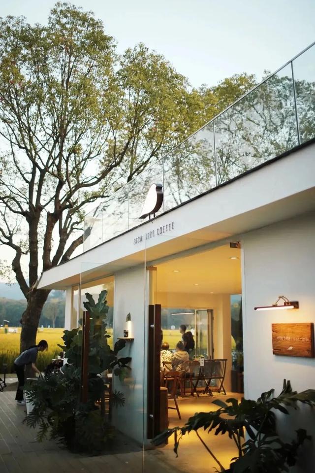 魅力滨湖的故事，就是“两山理论”的太湖实践