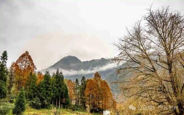 漫山彩林，琉璃坝的色彩美学