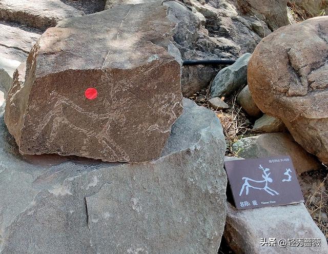 塞上江南宁夏，一个被严重低估的旅游大省
