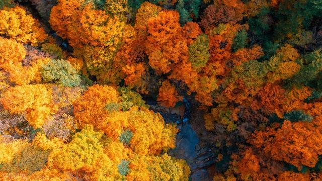 快收好！11月赏秋最值得去的地方，随便挑一个就出发，绝对不白去