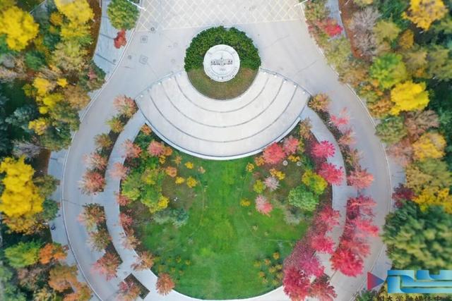 重要突破！兰大成果登上数学顶刊，获国际认可！