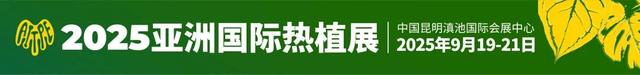 一站式享受精彩 昆明花展参观全攻略 | 动态