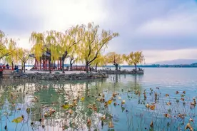 你知道常说的“一辈子吃不上四个菜”是哪四个么？图片