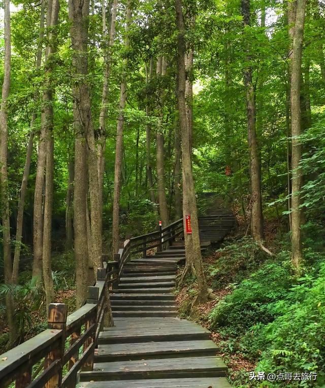 成都难得的清凉徒步胜地，在都江堰隔壁，不要门票，超级凉爽。