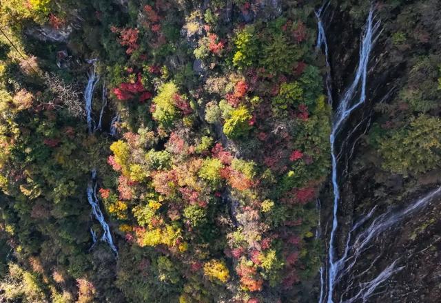 藏在武都的深秋秘境！