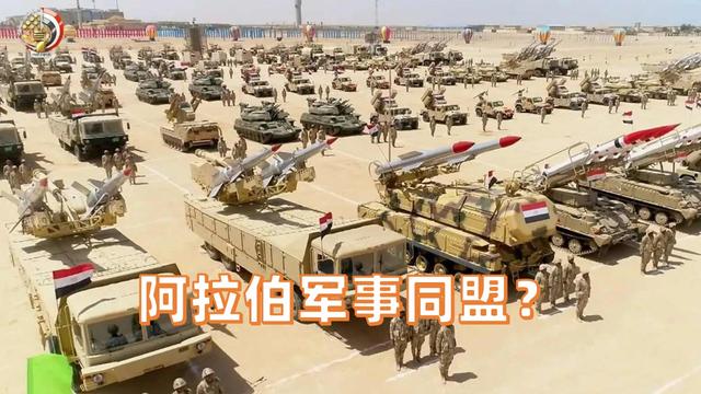 储殷：“阿拉伯版北约”难实现