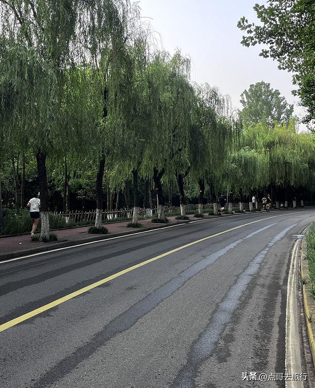成都市区意外之地，去年被称为天然空调，今年仍然清幽，不要门票