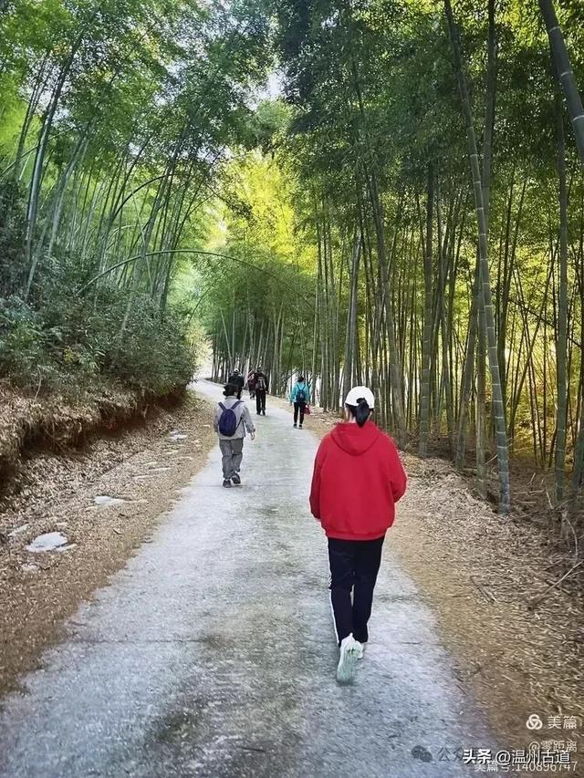 醉美林坑晒秋！这条连接两个避世古村落的省一级古道，周末可走起