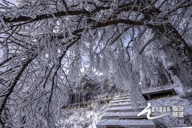 七里峪五龙壑现雾凇冰挂 绘就冬日梦幻景