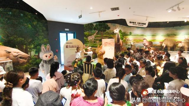 聆听·触摸·探索——临夏市文博暑期活动矩阵打造青少年“行走的课堂”