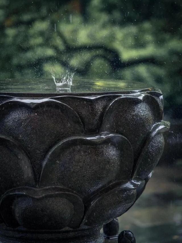 雨落神都，洛阳便成了水墨画！这5个地方最适合雨中漫步