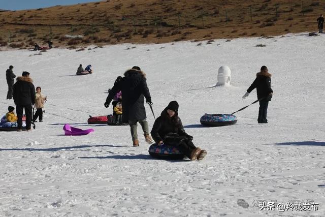 点燃冬日 跃动羚城!合作市第二届冰雪旅游季暨趣味运动会欢乐启幕