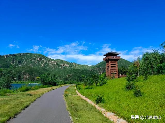 诚邀您共赴一场焕活身心的“森”呼吸之旅！