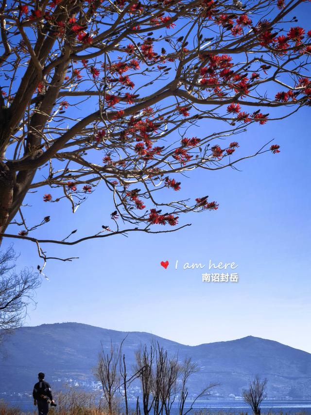 16个字，能概括出你心中的大理苍山的神奇吗？