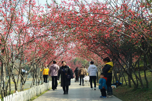 9000亩串联成片！郫都宝藏公园藏不住了→