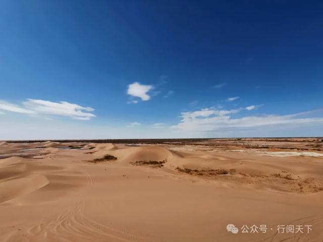 额济纳，额济纳，秋天必须要去额济纳，与金色胡杨林相遇
