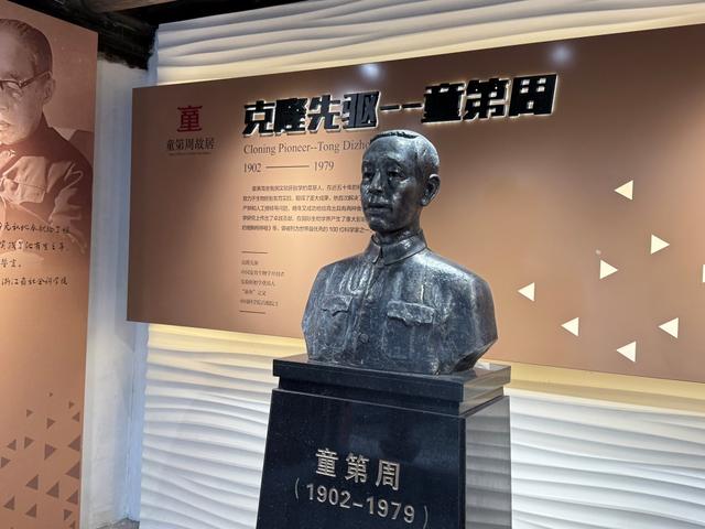 游布鲁塞尔，想起童第周