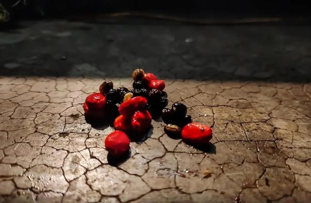 “初三3不出，到头一场空”，明日正月初三，牢记这3个忌讳不要犯 第3张