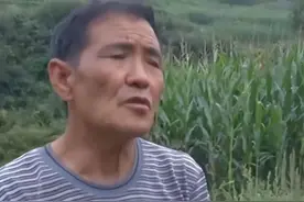三名村民离奇失踪，多年后两人突然现身，才揭开尘封30年的谜团图片