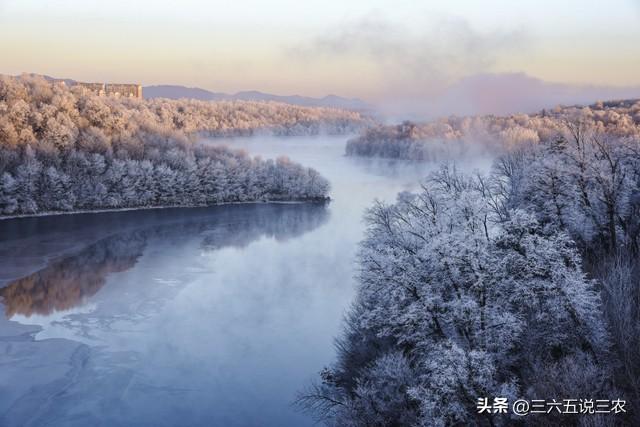 “冷不冷，就看八月初八”，今日八月初八，今年是60年一遇冷冬？