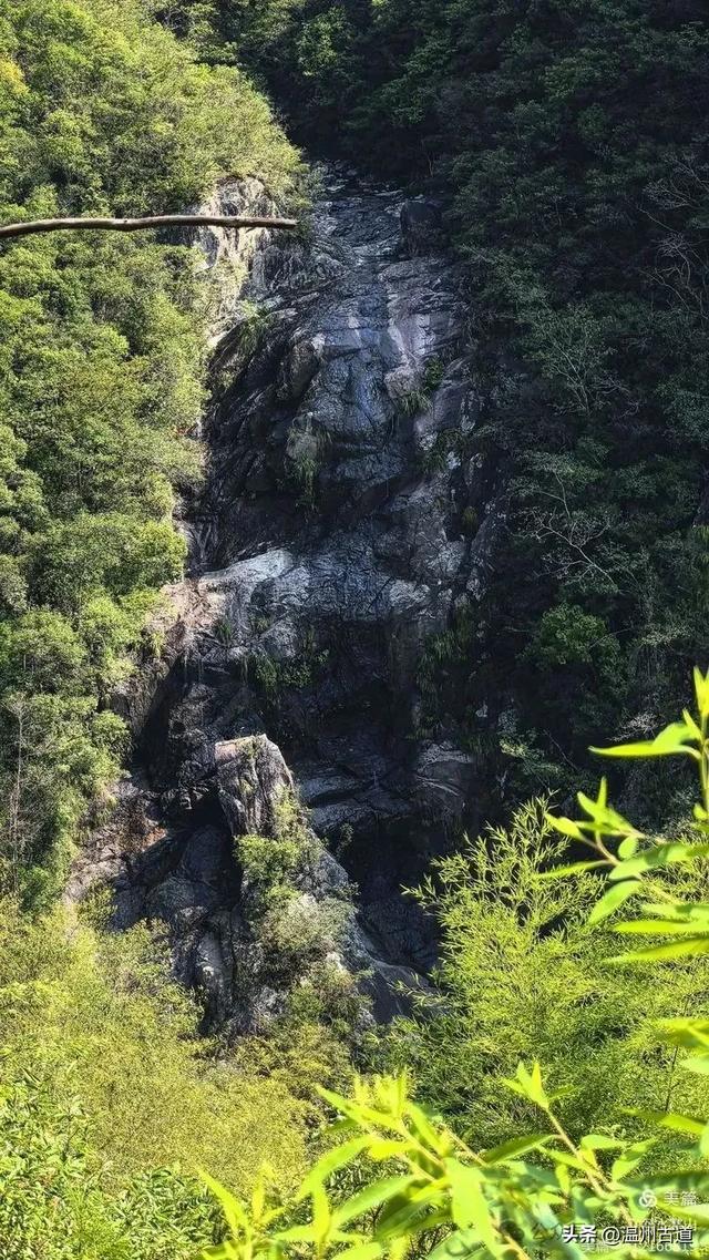 华东最后一个通电村！你知道是温州哪个村吗