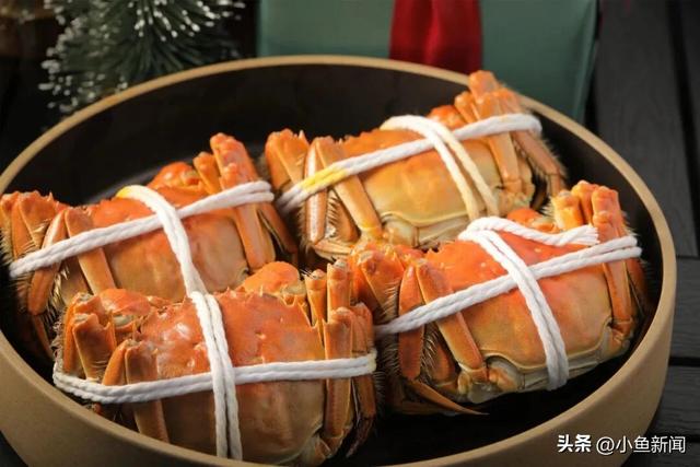 国庆八天乐，来苏州工业园区怎么玩？攻略来了！