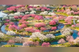 【提示】乐高乐园周边“吃住游”全攻略图片