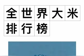 全球大米排行榜图片