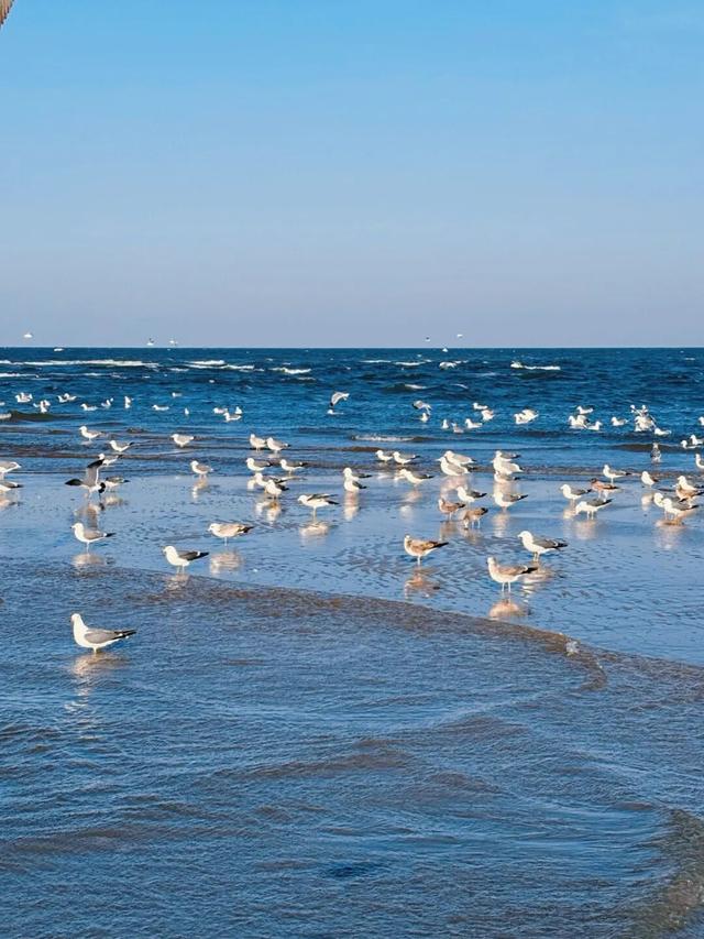 就现在！烟台惊现一片无人岛，美爆了！