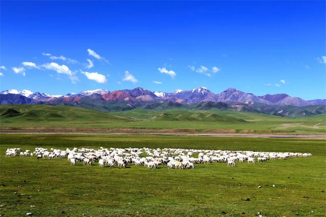 探秘祁连：历史古迹与自然风光的交融之旅
