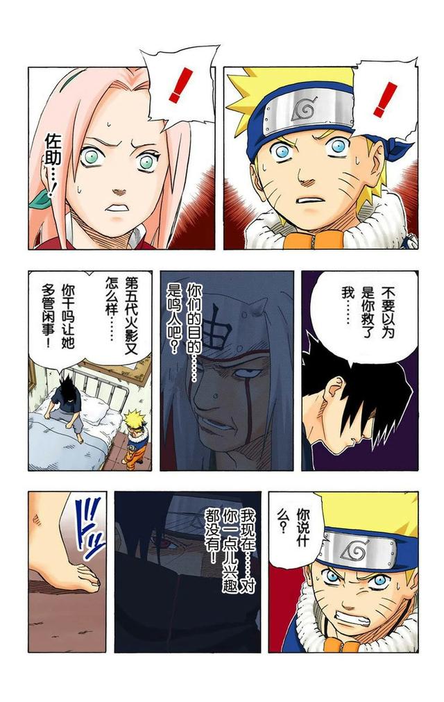 火影忍者彩漫 第二十卷 第五代火影纲手，鸣人佐助天台对决