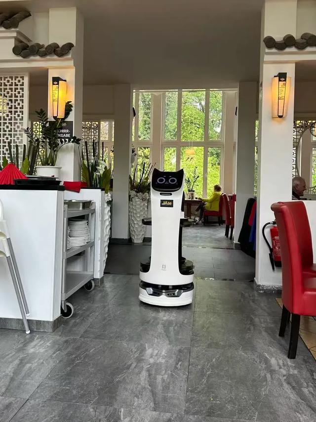 《 再见,德国 》