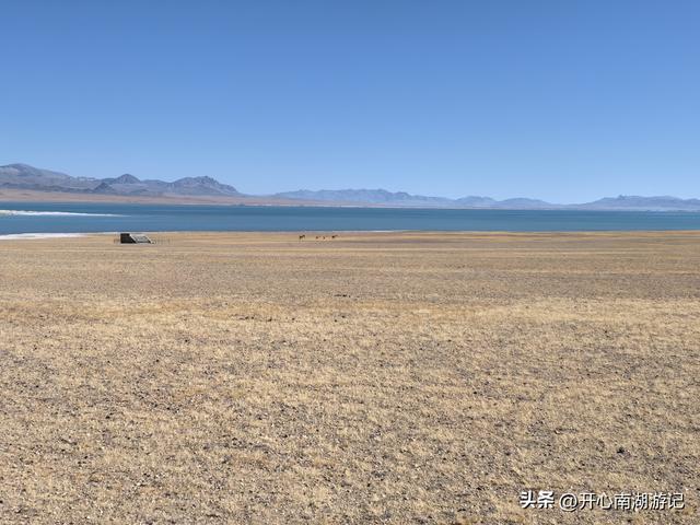 喀什经317到成都，改则-尼玛，途径大地之树、洞措湿地自然保护区