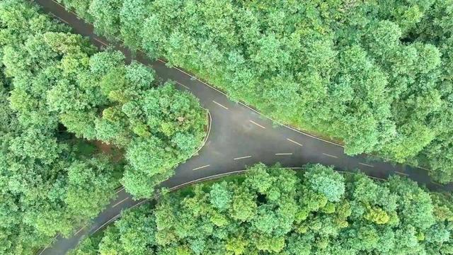 退休族必看！旅居贵州指南：选威宁还是盘州？物价低至30元吃鱼